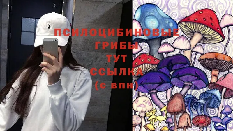 Галлюциногенные грибы Magic Shrooms Верхний Уфалей